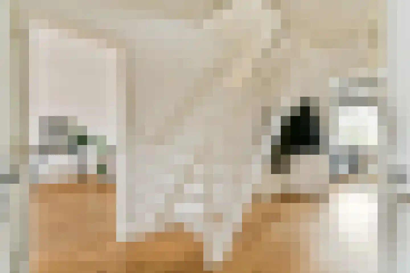 Witte de Withstraat 129 H Amsterdam thumbnail 11