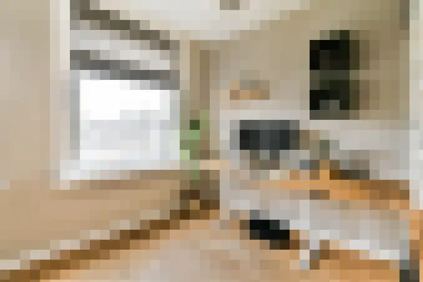 Witte de Withstraat 129 H Amsterdam thumbnail 12
