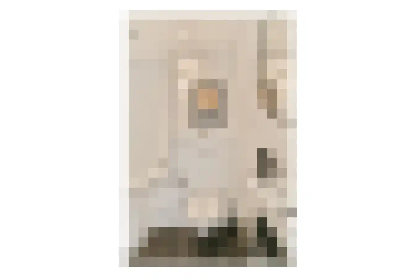Witte de Withstraat 129 H Amsterdam thumbnail 14