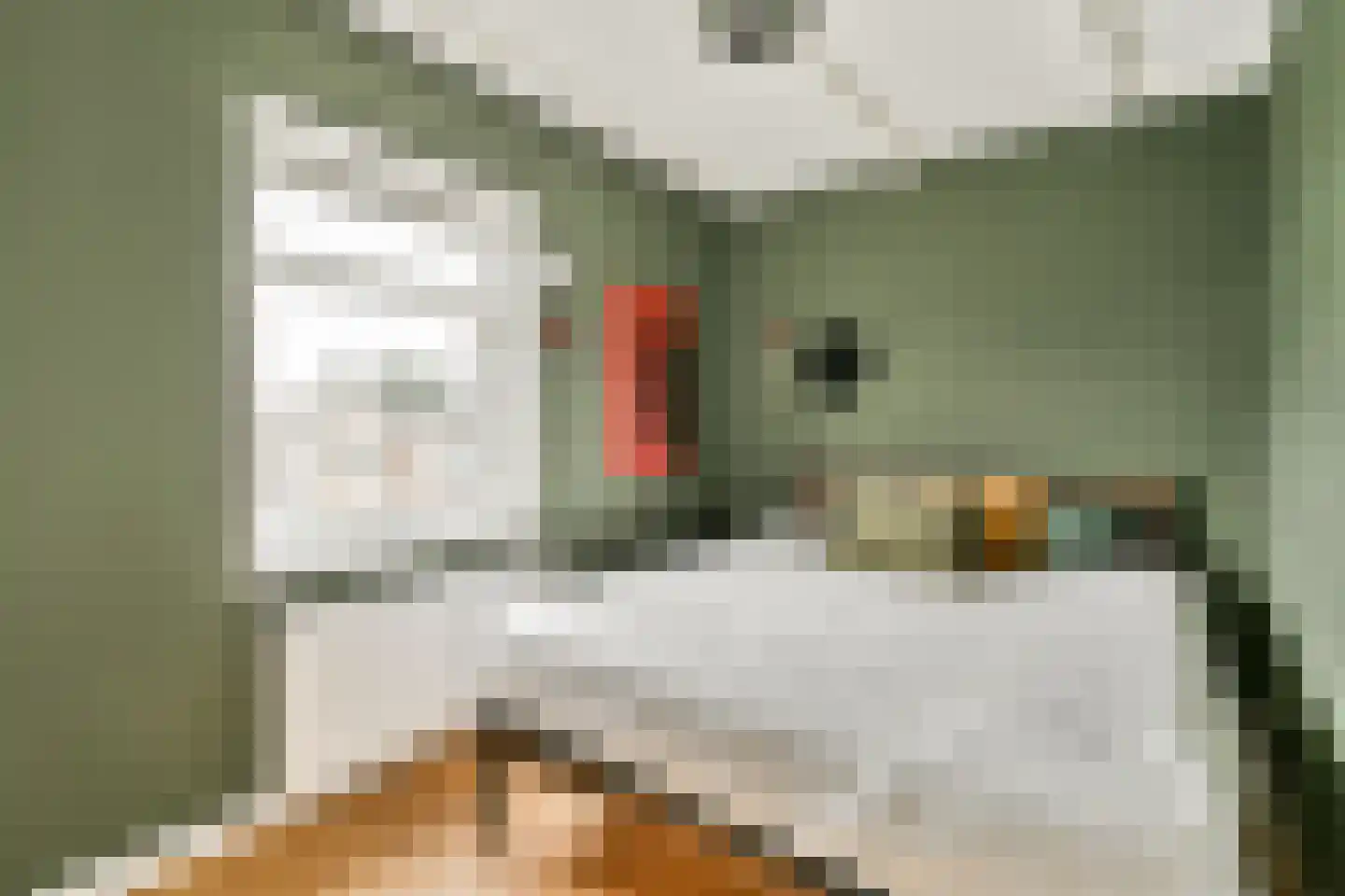 Witte de Withstraat 129 H Amsterdam thumbnail 17