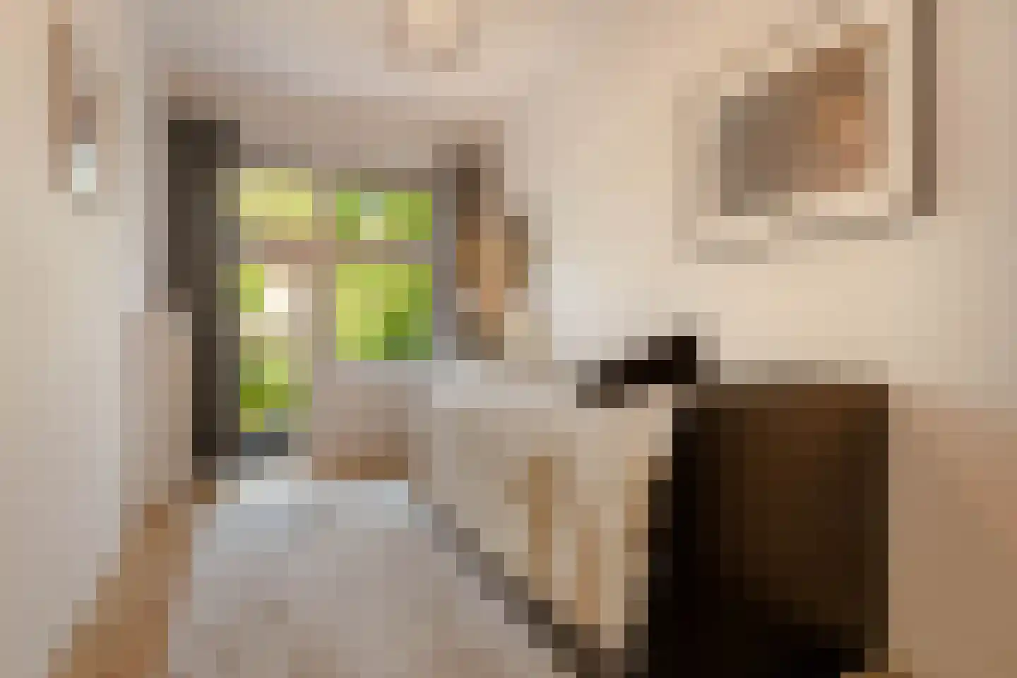 Witte de Withstraat 129 H Amsterdam thumbnail 21