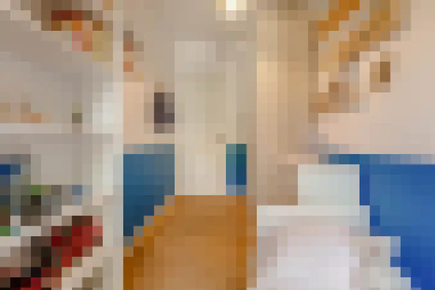 Witte de Withstraat 129 H Amsterdam thumbnail 24