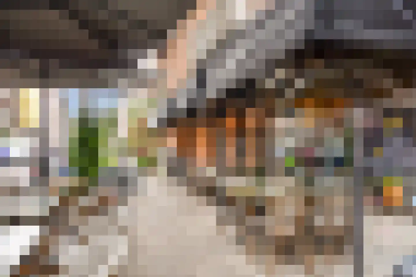 Witte de Withstraat 129 H Amsterdam thumbnail 25