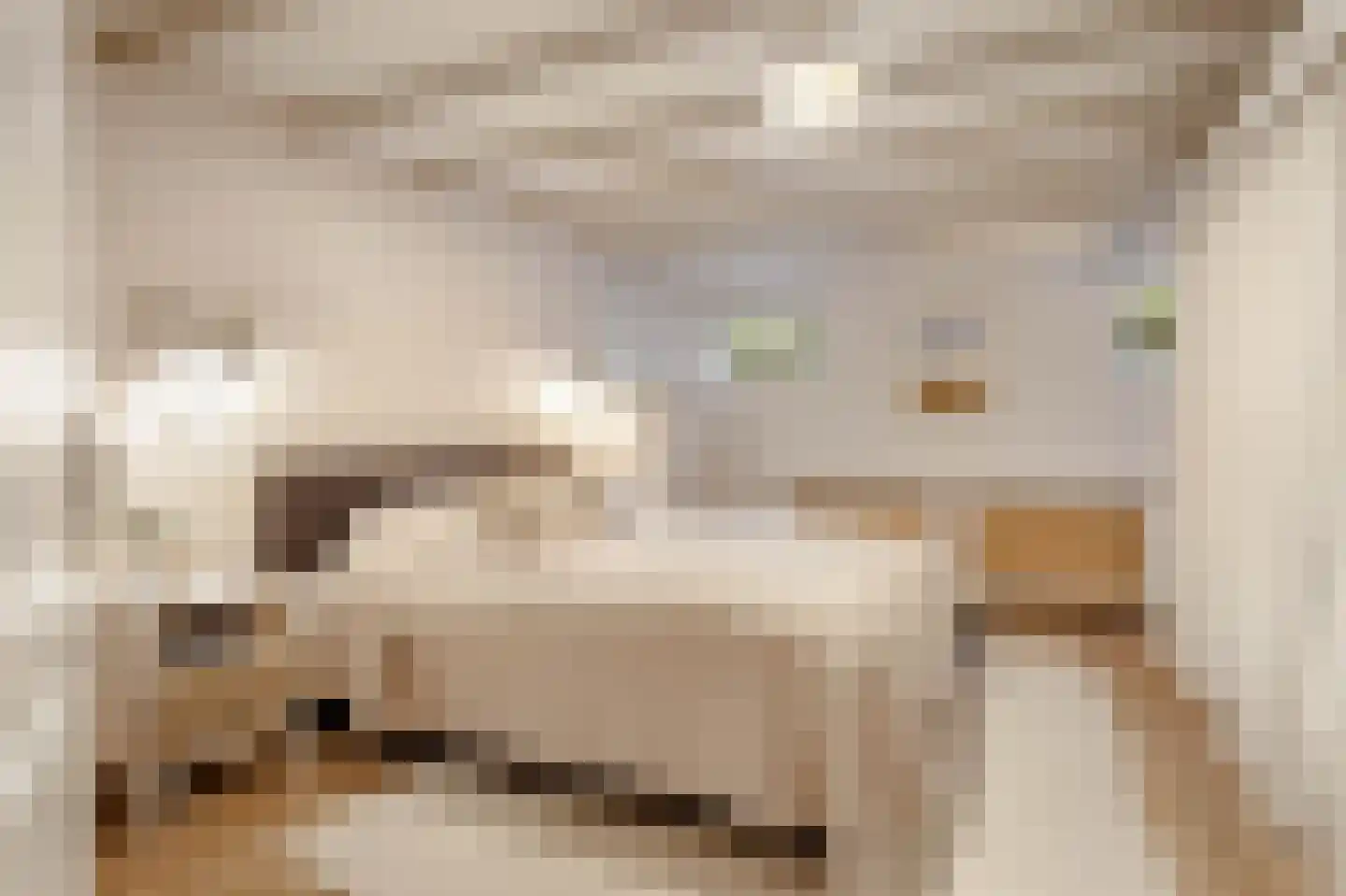 Witte de Withstraat 129 H Amsterdam thumbnail 26