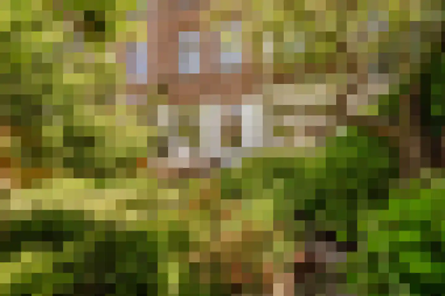 Witte de Withstraat 129 H Amsterdam thumbnail 36