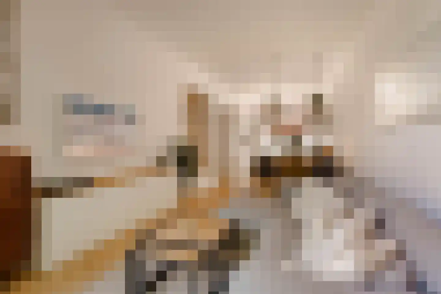 Witte de Withstraat 129 H Amsterdam thumbnail 6
