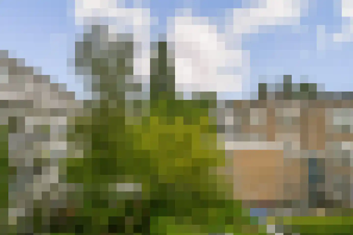 Witte de Withstraat 129 H Amsterdam thumbnail 6