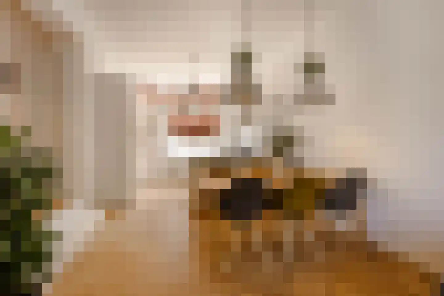 Witte de Withstraat 129 H Amsterdam thumbnail 7