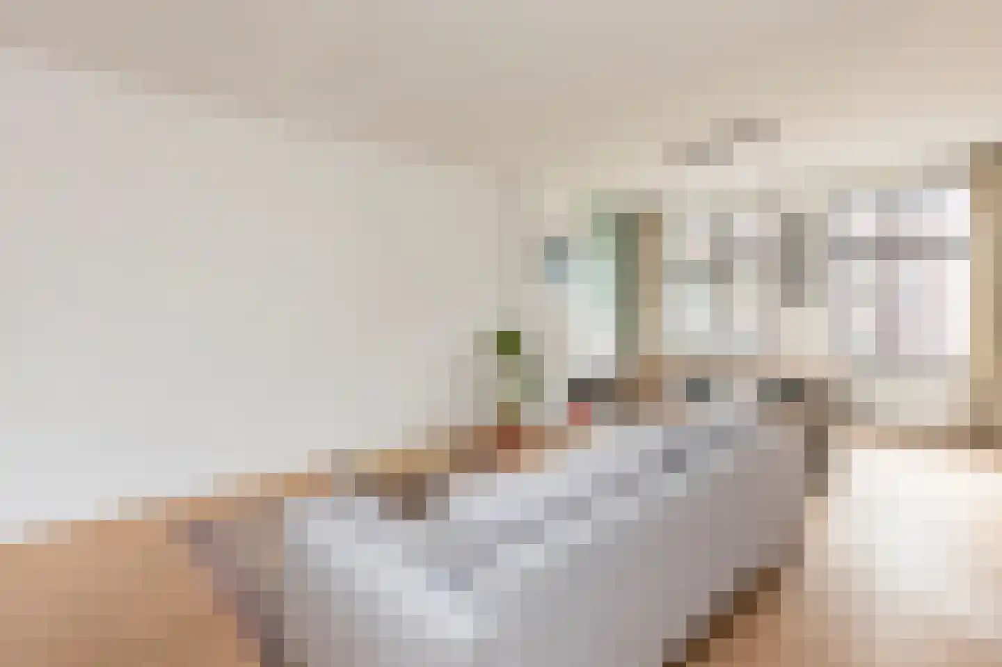 Witte de Withstraat 13 B Rotterdam thumbnail 10