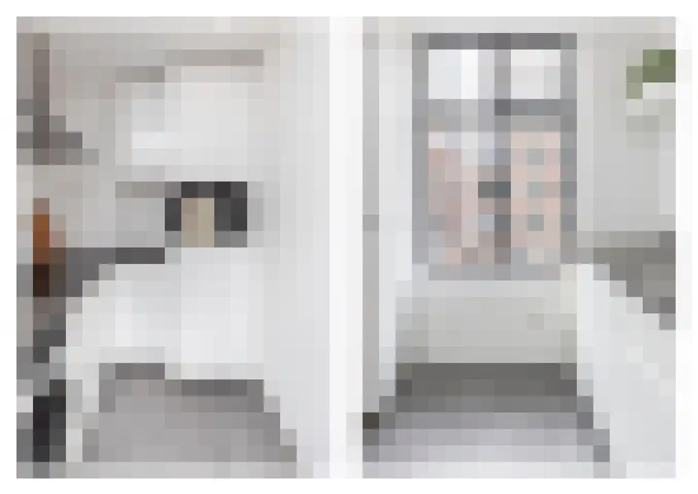Witte de Withstraat 13 B Rotterdam thumbnail 6