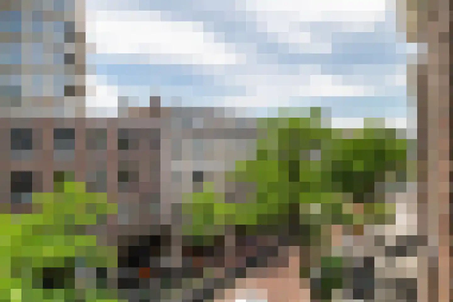 Witte de Withstraat 13 D Rotterdam