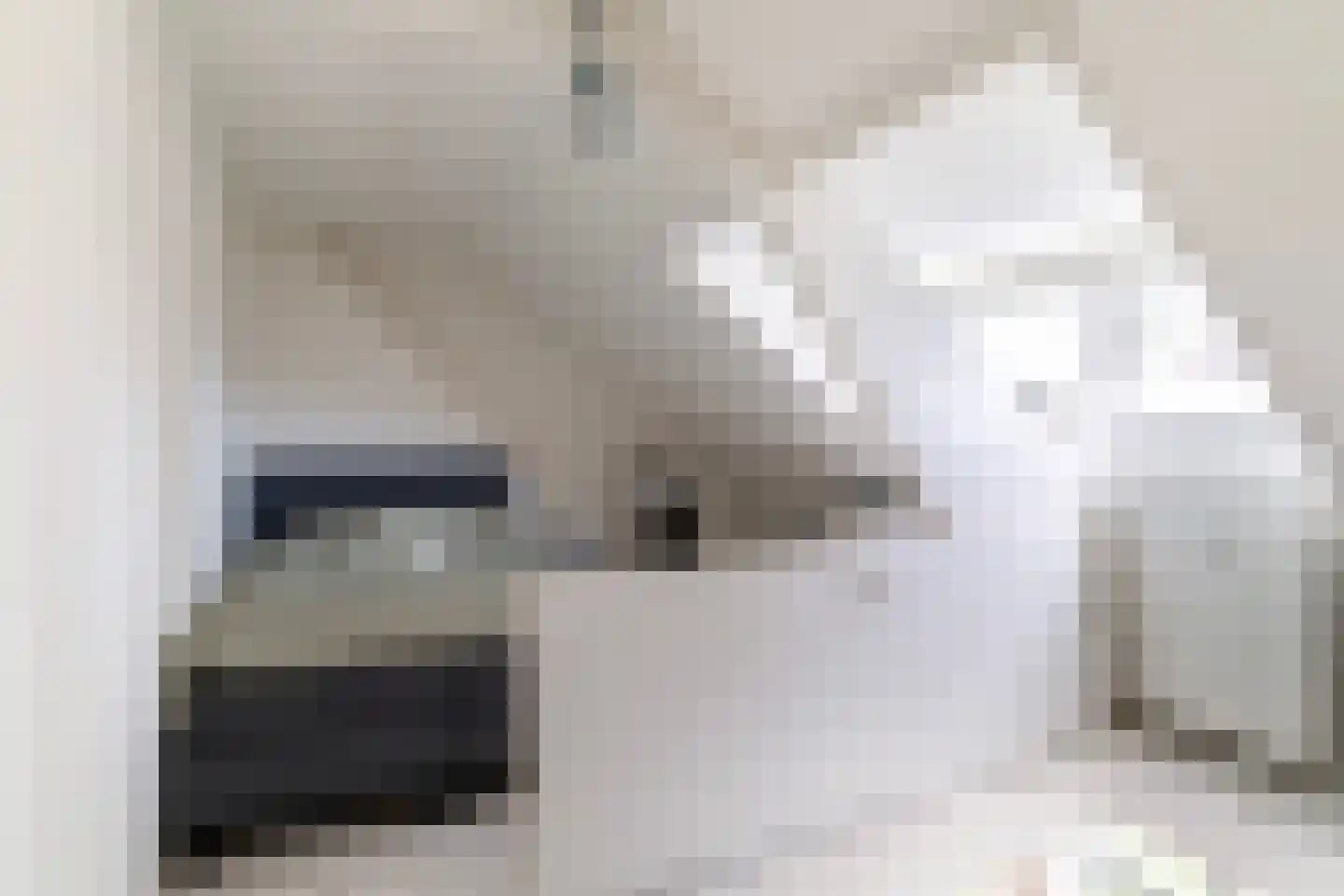 Witte de Withstraat 13 D Rotterdam thumbnail 18