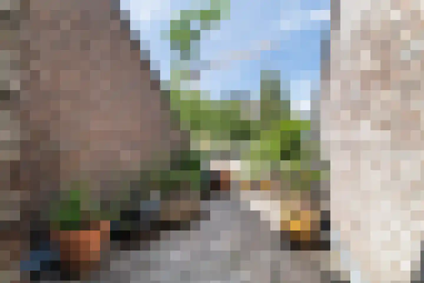 Witte de Withstraat 13 D Rotterdam thumbnail 26