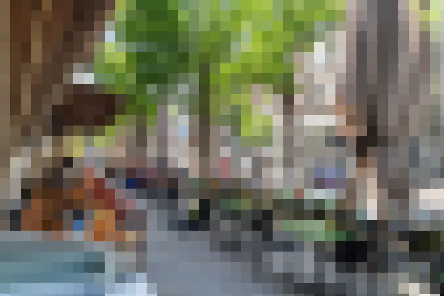 Witte de Withstraat 13 D Rotterdam thumbnail 33
