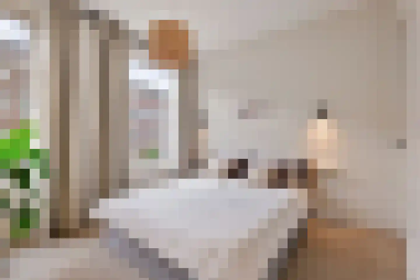 Witte de Withstraat 133 1 Amsterdam thumbnail 21