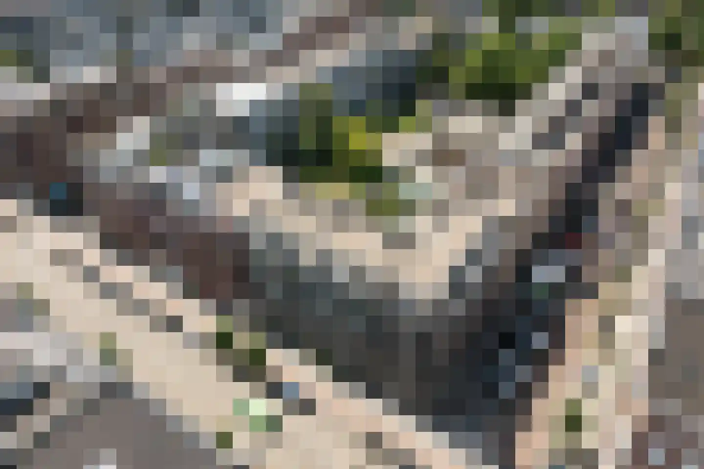 Witte de Withstraat 135 3 Amsterdam thumbnail 30