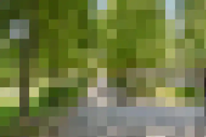 Witte de Withstraat 136 2 Amsterdam thumbnail 24