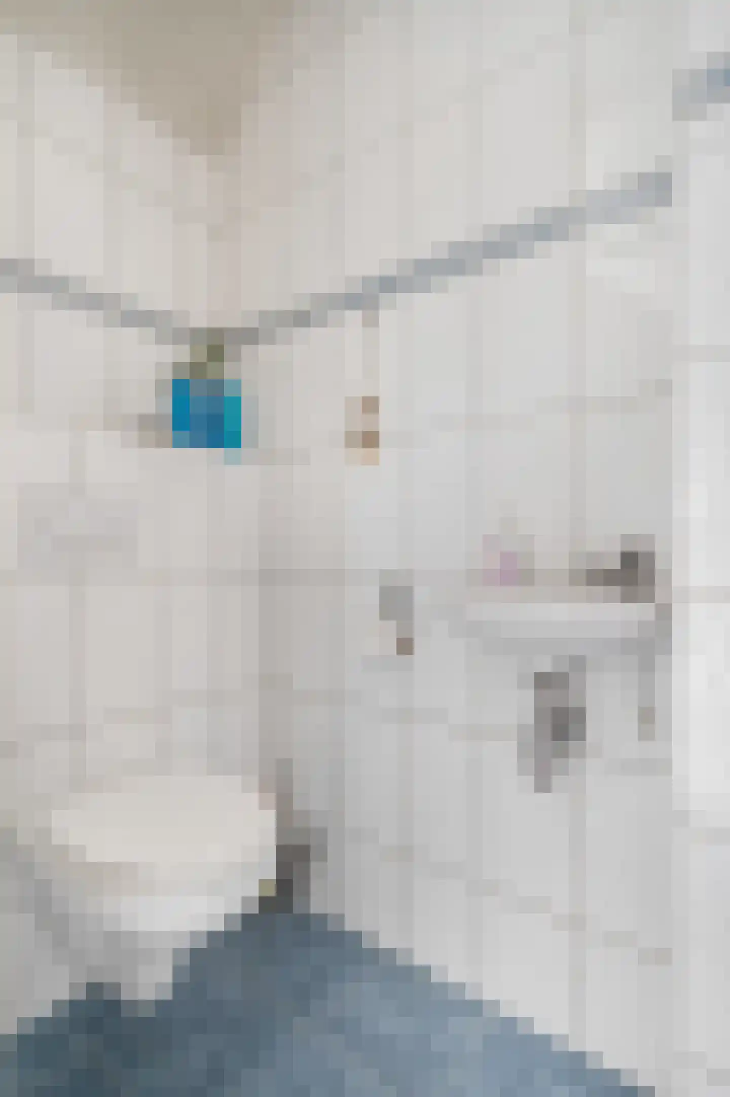 Witte de Withstraat 14 Ede thumbnail 12