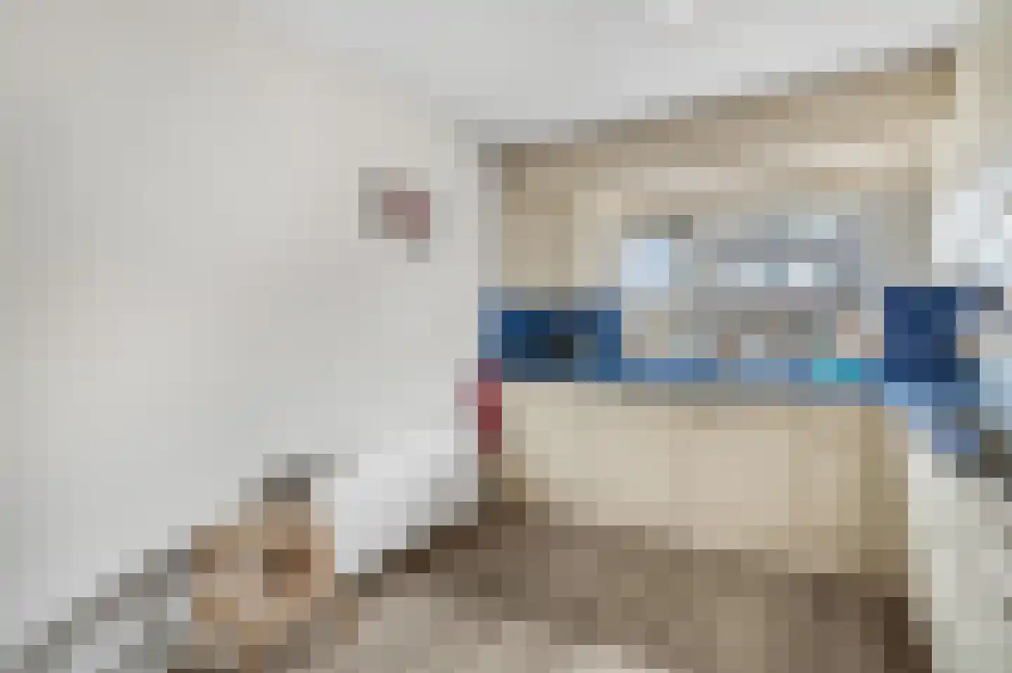 Witte de Withstraat 14 Ede thumbnail 7
