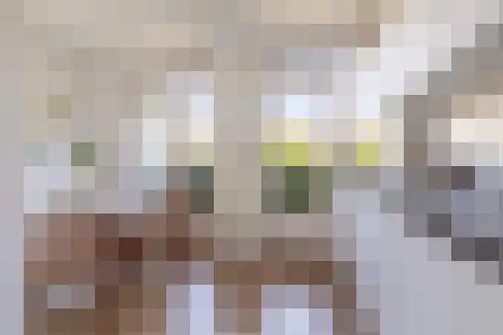 Witte de Withstraat 140 2 Amsterdam thumbnail 14