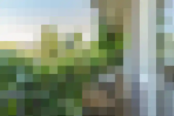 Witte de Withstraat 140 2 Amsterdam thumbnail 20