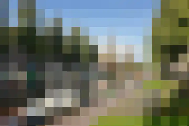 Witte de Withstraat 140 2 Amsterdam thumbnail 42