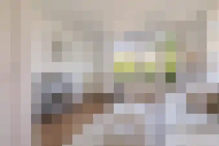 Witte de Withstraat 140 2 Amsterdam thumbnail 5