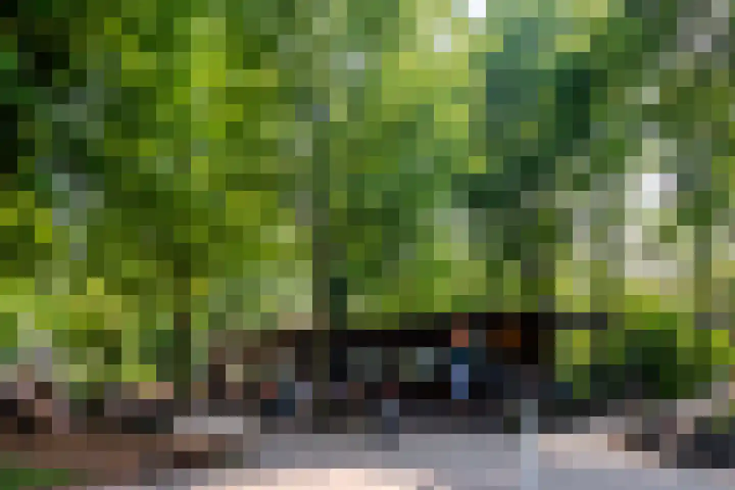 Witte de Withstraat 141 2 Amsterdam thumbnail 28
