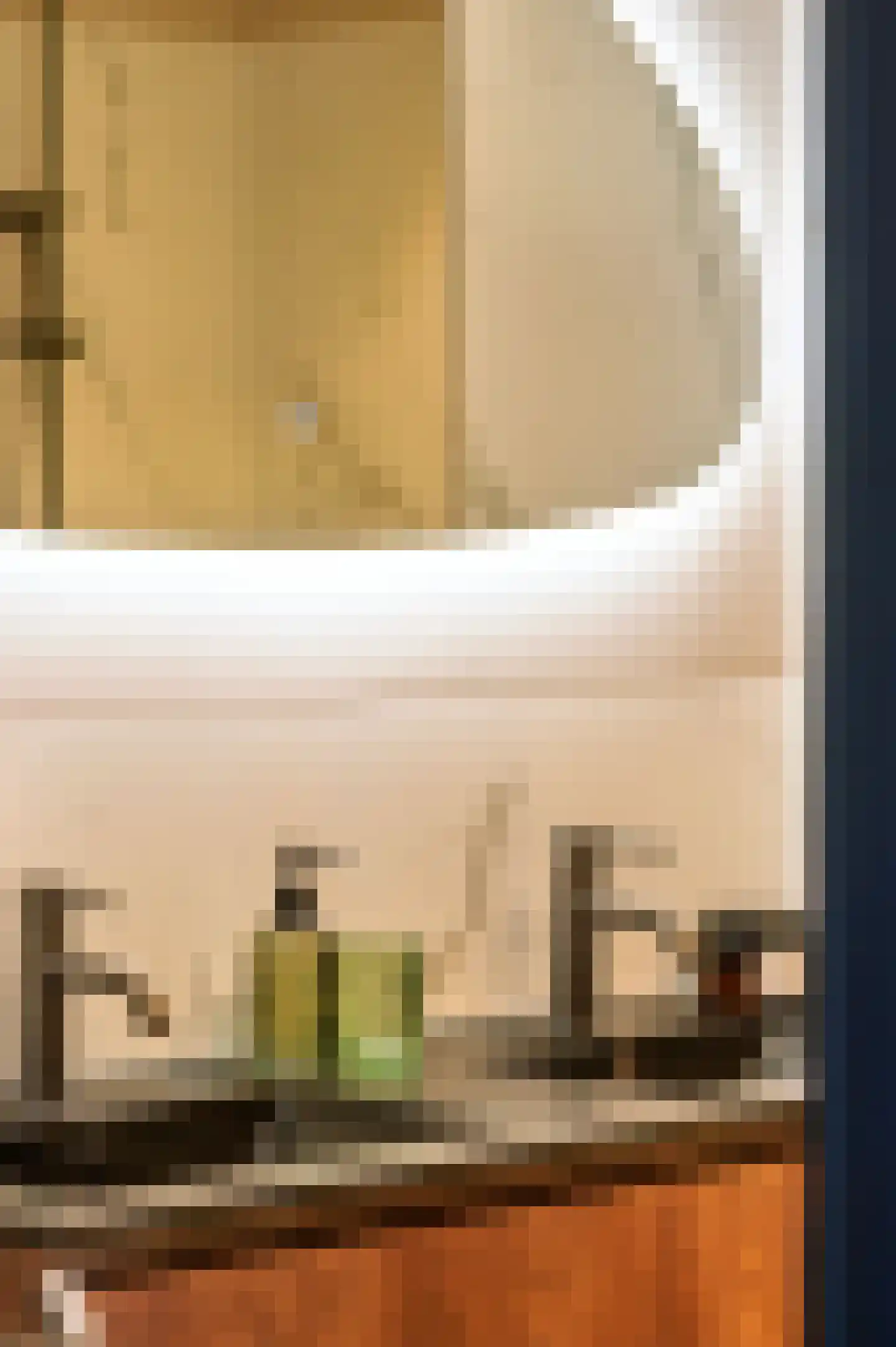 Witte de Withstraat 143 3 Amsterdam thumbnail 24