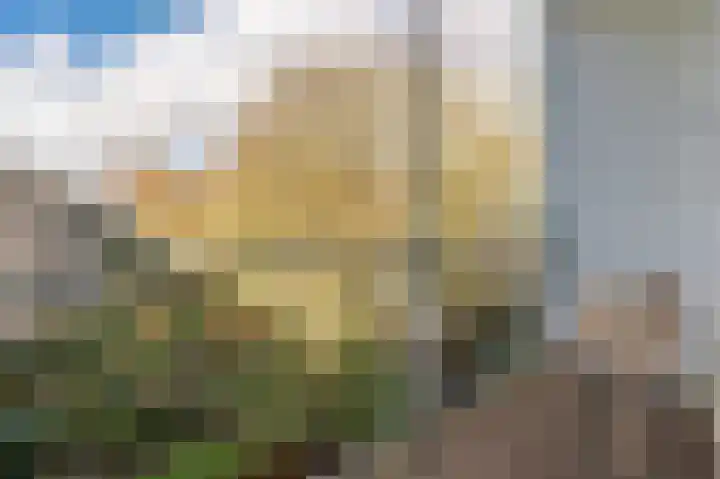Witte de Withstraat 143 3 Amsterdam thumbnail 4