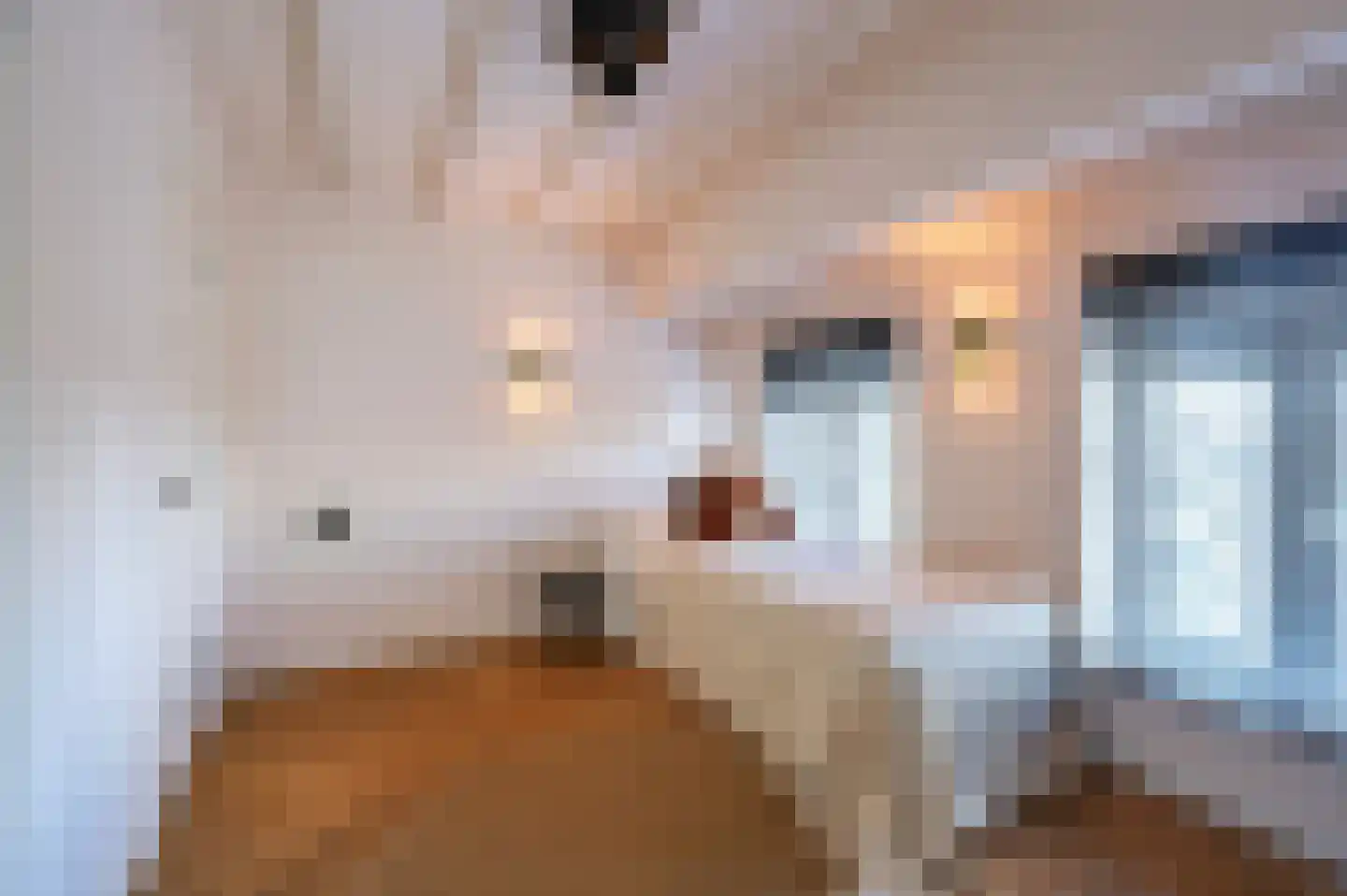 Witte de Withstraat 143 4 Amsterdam thumbnail 29