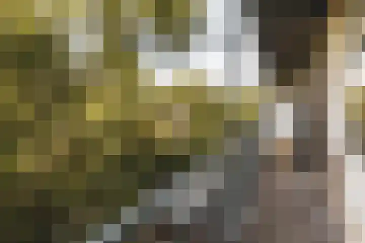 Witte de Withstraat 148 2 Amsterdam thumbnail 18