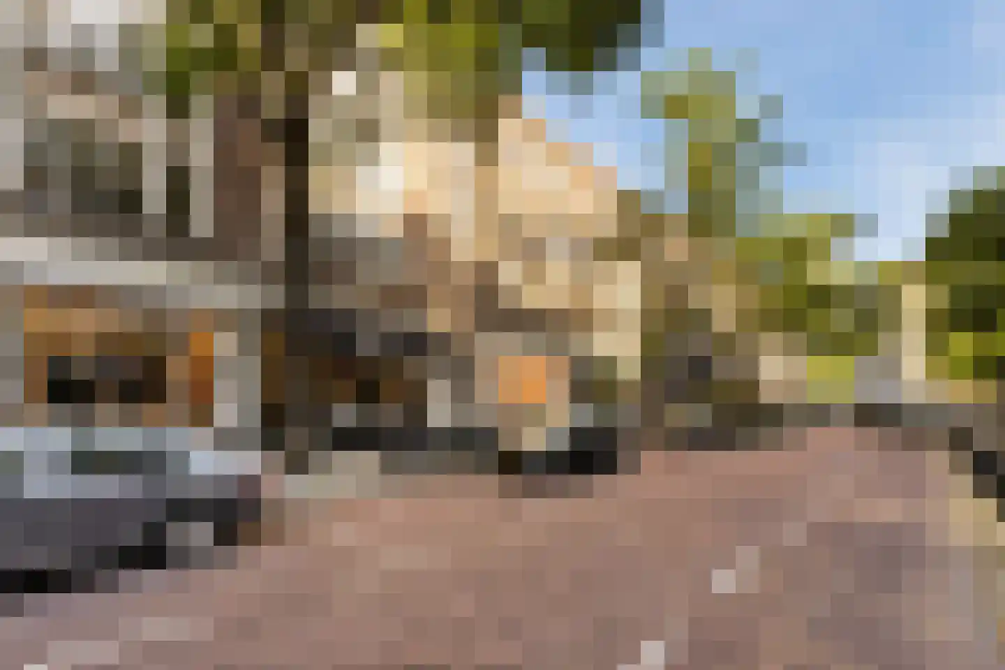 Witte de Withstraat 17 C Rotterdam thumbnail 38