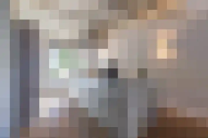 Witte de Withstraat 17 Huizen thumbnail 17