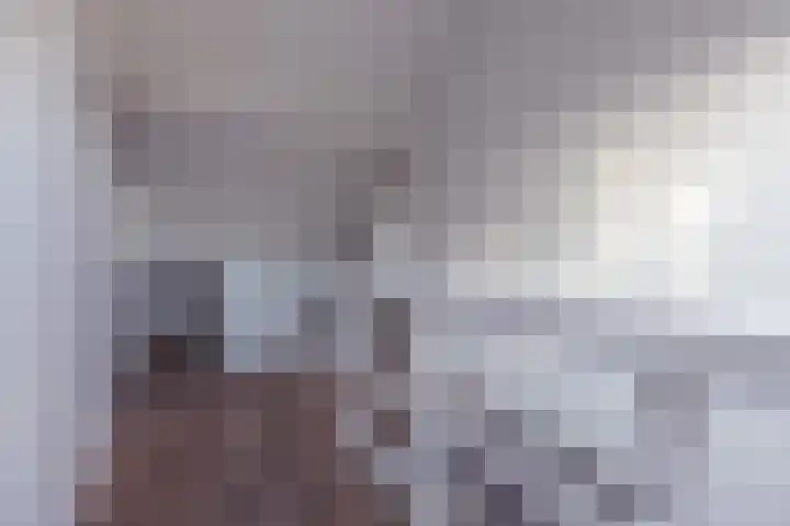 Witte de Withstraat 17 Huizen thumbnail 35