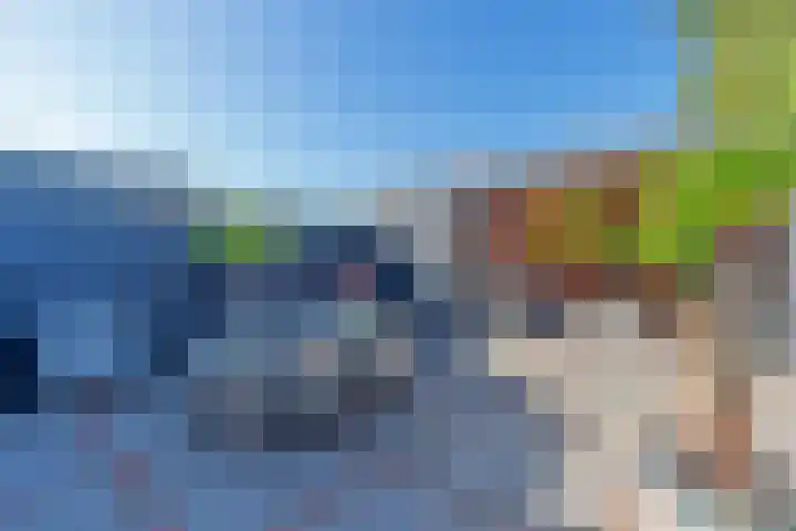 Witte de Withstraat 17 Huizen thumbnail 37