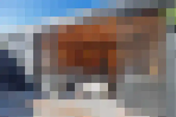 Witte de Withstraat 17 Huizen thumbnail 39