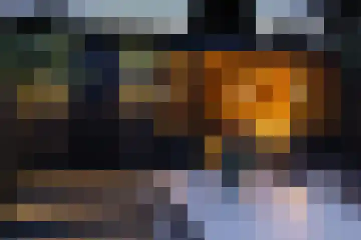 Witte de Withstraat 17 Huizen thumbnail 41