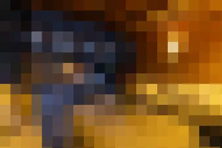 Witte de Withstraat 17 Huizen thumbnail 42