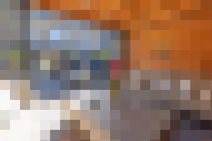 Witte de Withstraat 17 Huizen thumbnail 43