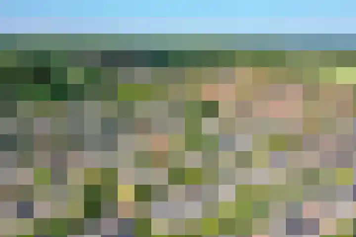 Witte de Withstraat 17 Huizen thumbnail 46