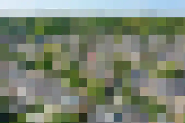 Witte de Withstraat 17 Huizen thumbnail 47