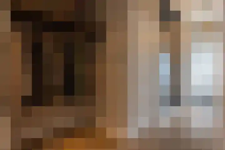 Witte de Withstraat 17 Huizen thumbnail 5