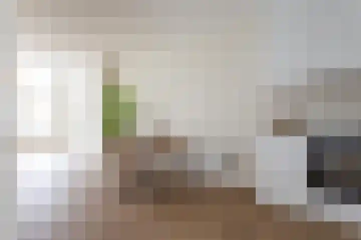 Witte de Withstraat 18 B Den Haag thumbnail 8