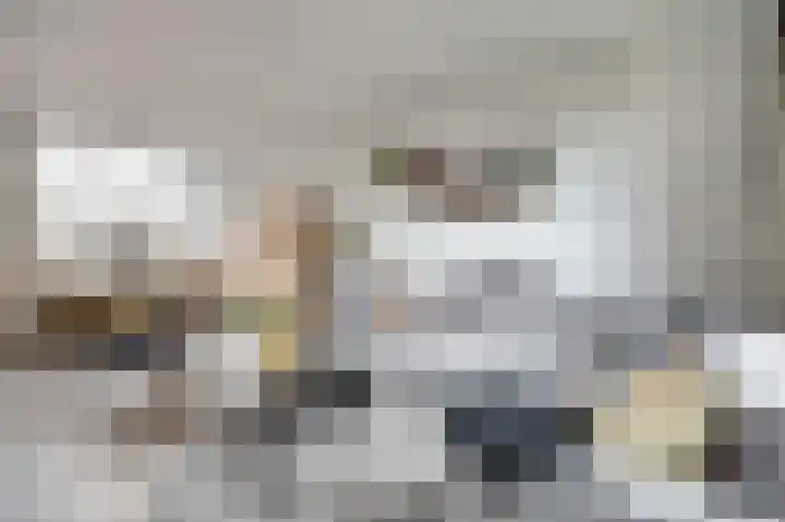 Witte de Withstraat 18 De Lier thumbnail 10