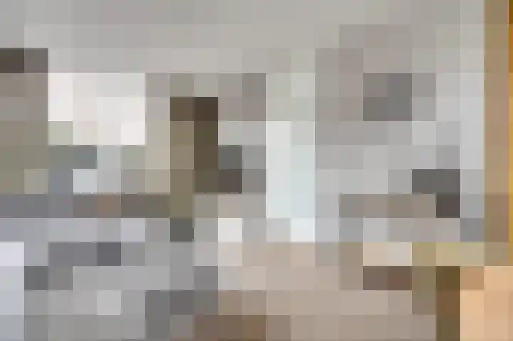 Witte de Withstraat 18 De Lier thumbnail 11