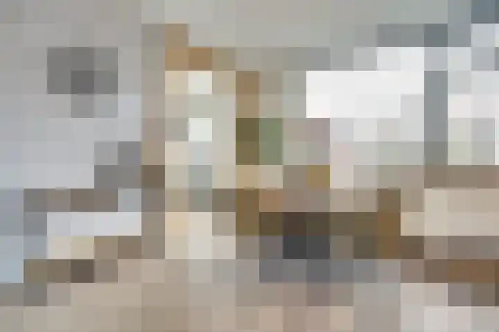 Witte de Withstraat 18 De Lier thumbnail 13