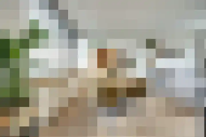 Witte de Withstraat 18 De Lier thumbnail 14