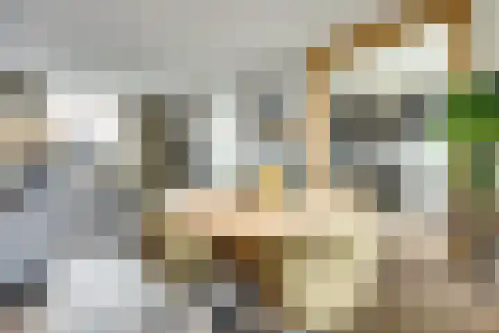 Witte de Withstraat 18 De Lier thumbnail 15