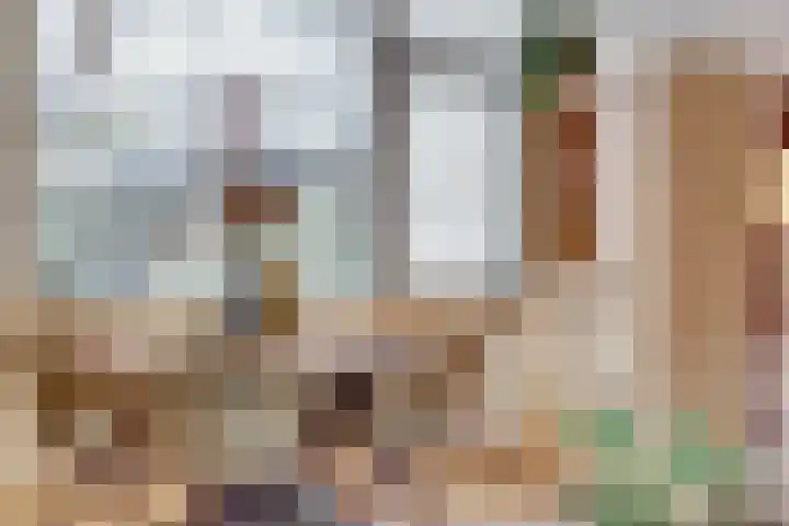 Witte de Withstraat 18 De Lier thumbnail 16